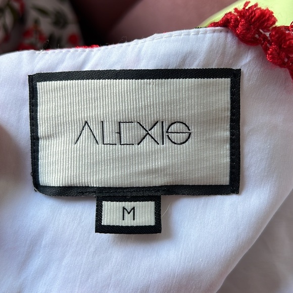 Alexis Naomie rose-embroidered maxi dress Size Small - Picture 6 of 6